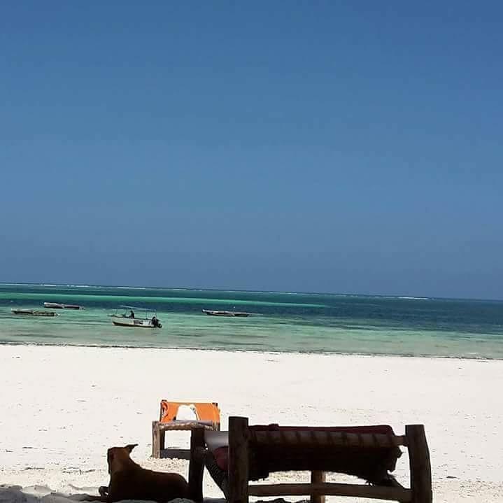 Sipano Beach Lodge Kiwengwa  Exteriör bild