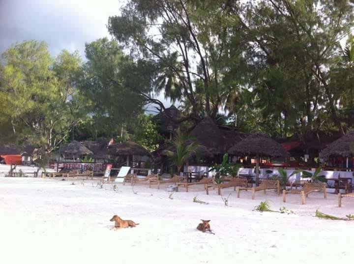 Sipano Beach Lodge Kiwengwa  Exteriör bild