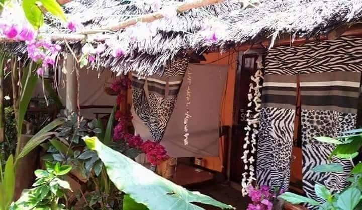 Sipano Beach Lodge Kiwengwa  Rum bild